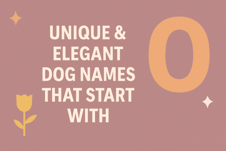 Dog Names That Start with O Girls