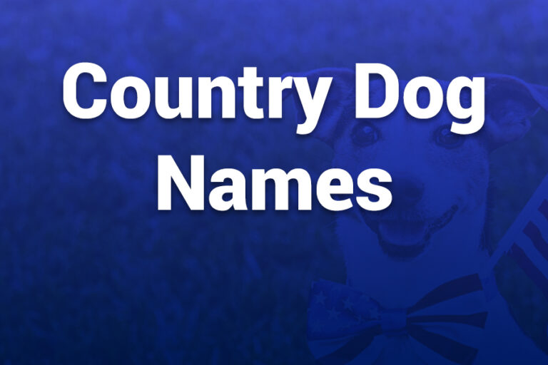 Country Dog Names You’ll Love country dog names
